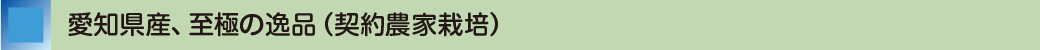 愛知県産