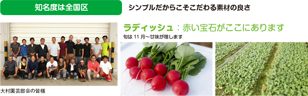 ラデッシュファーム本文